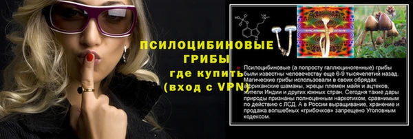 гашик Вяземский