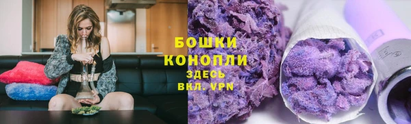 гашик Вяземский