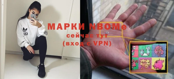 гашик Вяземский