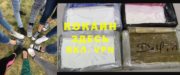 гашик Вяземский