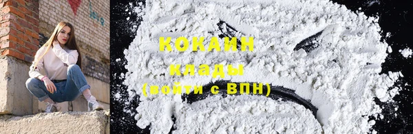 гашик Вяземский