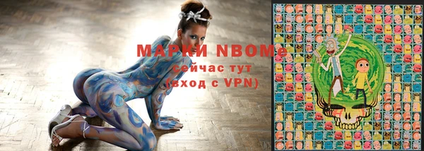гашик Вяземский