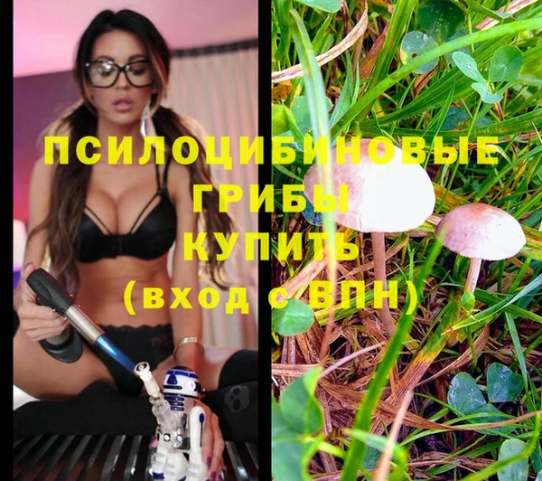 винт Вязьма