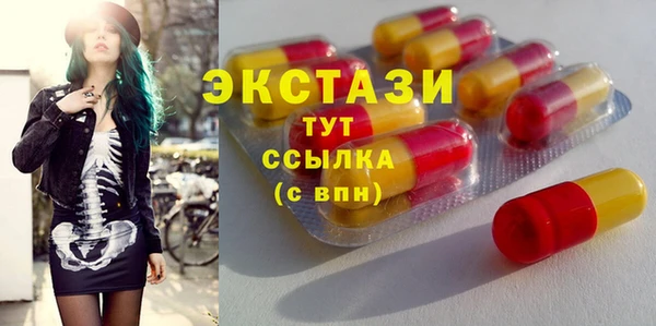 гашик Вяземский