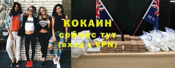 гашик Вяземский