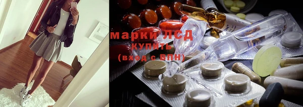 гашик Вяземский