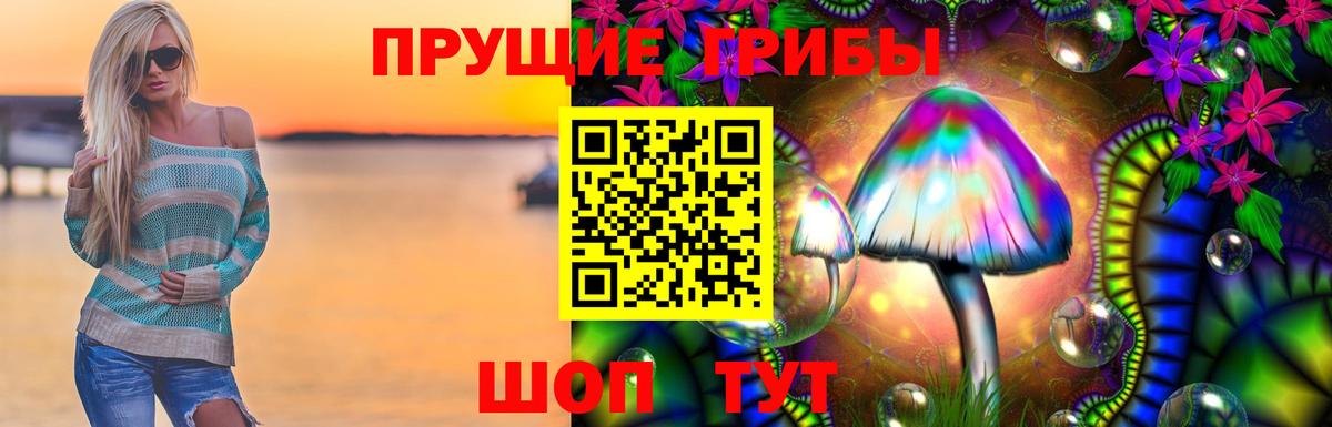 Кстово  Галлюциногенные грибы Psilocybe  Вход с VPN 
