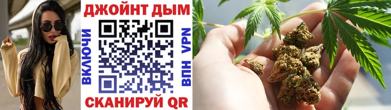 Шишки марихуана сатива Кстово